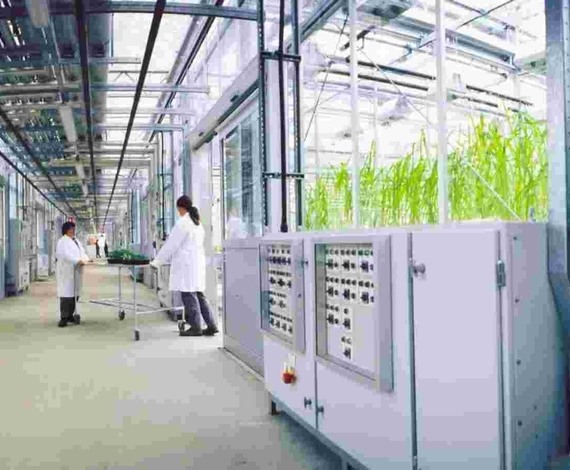 Syngenta image 1