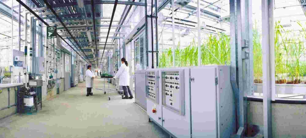 Syngenta image 1